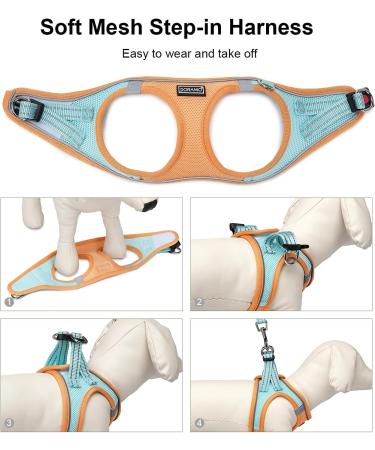 Shop Doramio Dog Harness for Small Dogs & Cats - Reflective Breathable Step-in Design with Leash | Safe & Stylish (M Orange Blue) - Buy Online on GoSupps.com