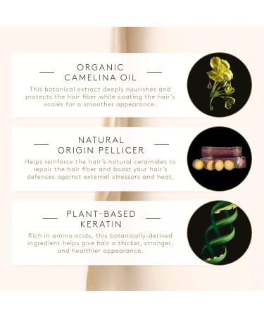 Rene Furterer ABSOLUE KERATINE Repairing Shampoo - Sulfate-Free 6.7 fl. oz. for Damaged Over-Processed Hair - Repair & Restore International Shipping Available - Buy Online on GoSupps.com
