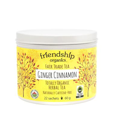 Friendship Organics Ginger Cinnamon Tea Bags Organic and Herbal Fair Trade 22 Count