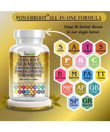 Shilajit Complex Sea Moss Tongkat Ali Ashwagandha Ginseng Zinc CoQ10 PQQ & Magnesium Fulvic Acid Capsules for Energy Vitality & Performance with Panax Cordyceps 180 Count (Pack of 2) - Buy Online on GoSupps.com