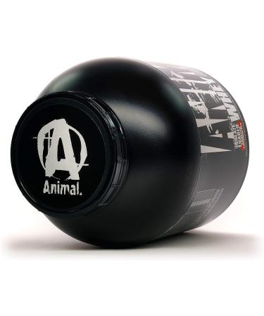 Animal Whey Isolate Protein Powder - Post-Workout Recovery, Low Sugar, Highly Digestible - Frosted Cinnamon Bun - 4lb - Buy Online on GoSupps.com
