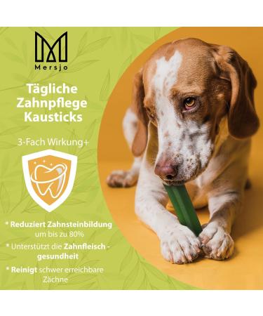 Mersjo Dental Dog Sticks - Grain-Free Sugar-Free Treats for Large Dogs (28 Pieces) | Healthy Snacks that Freshen Breath & Support Dental Health - Buy Online on GoSupps.com