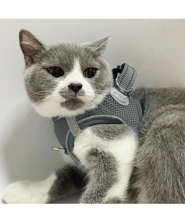 Joyal Reflective Soft Padded Dog Harness - Breathable Air-Mesh for Cats & Puppies (XXXS Gray: 27-31cm) - Buy Online on GoSupps.com