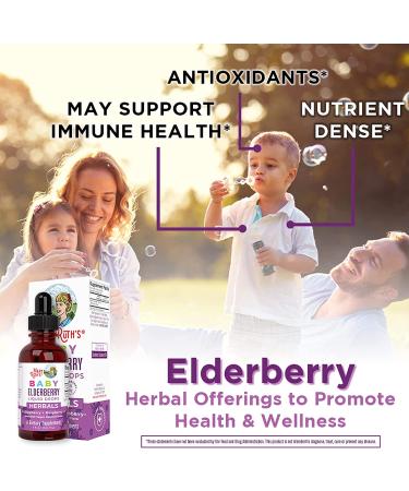MaryRuth's Elderberry Syrup for Toddlers | USDA Organic Liquid Drops | Immune Support & Overall Health | Vegan, Non-GMO, Gluten Free | 128 Servings - Buy Online on GoSupps.com