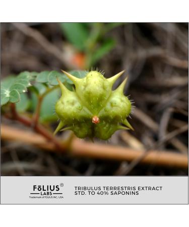 FOLIUS LABS Tribulus Terrestris 750mg - Concentrated Natural Whole Plant Extract - 120 Capsules - Buy Online on GoSupps.com