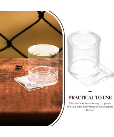 SEWOART Pet Water Feeder Ant Feeder Ant Watering Station Ant Water Feeder Ant Waterer Plastic Transparent - Buy Online on GoSupps.com