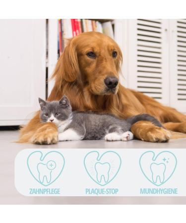 PetLove Dentavit Dental Care Powder for Dogs & Cats | Natural Tartar Remover & Bad Breath Solution - Buy Online on GoSupps.com