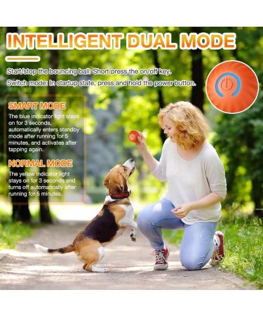 2PCs Interactive Dog Ball Toys - Self-Strolling Hard-Wearing Automatic Rolling Balls for Dogs - Wicked Ball - Perfect for Playtime & Fun! - Buy Online on GoSupps.com
