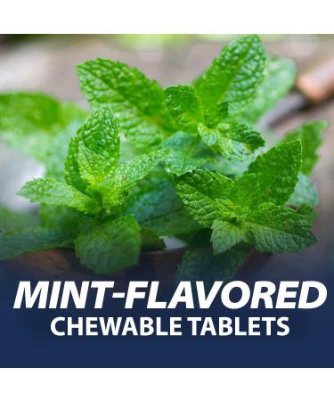 Rolaids Extra Strength Antacid Chewable Tablets - 96 Mint Flavor Chewables - Buy Online on GoSupps.com