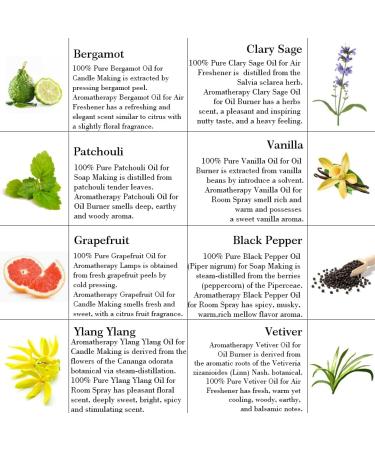 Aromatherapy Bergamot Essential Oil Set for Diffuser 100% Pure Vanilla Essential Oils Kit Top 8x10ml Therapeutic Grade-Ylang Ylang Patchouli Clary Sage Black Pepper Vetiver etc Essential Oils - Buy Online on GoSupps.com