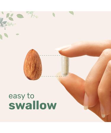 Micro Ingredients Hair Growth Vitamins for Women & Men 120 Capsules | 14-in-1 Formula with Biotin Collagen Keratin Saw Palmetto & More | Thicker Fuller Nourishes Thinning & Loss Hair Support 120 Count (Pack of 1) - Buy Online on GoSupps.com