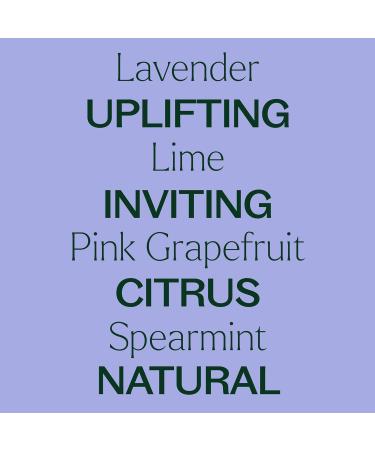 Plant Therapy Sparkling Lavender Laundry Essential Oil Blend 30 mL (1 oz) Pure Undiluted Wash Fragrance and Scent Enhancer - Buy Online on GoSupps.com