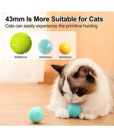 Havenfly Interactive Cat Ball Toy Intelligent Indoor Automatic Moving Ball Puzzle Dispel Boredom USB Charging Pet Toy with Light Fun Present for Kitten (Blue) Blue+roll - Buy Online on GoSupps.com