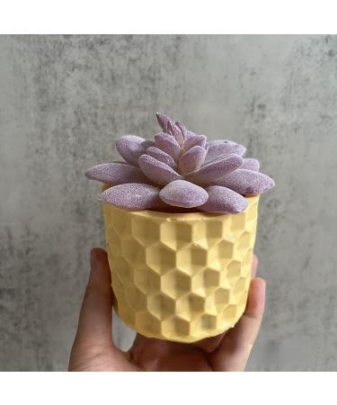 Round Honeycomb Concrete Flower Pot Silicone Mold - Succulent Planter, Cactus Mold, Candle Holder, Jewelry Storage - Epoxy Resin Clay Mold - Buy Online on GoSupps.com