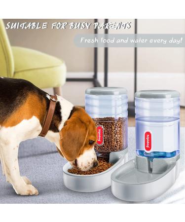 Gravity Pet Feeder and Waterer Set - Automatic Cat and Dog Food Bowls - Gray - Suitable for Small, Medium, and Large Pets - Buy Online on GoSupps.com