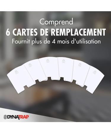 DynaTrap 23005-06 DOT StickyTech Glue Cards - Cloud (Pack of 6) - Buy Online on GoSupps.com