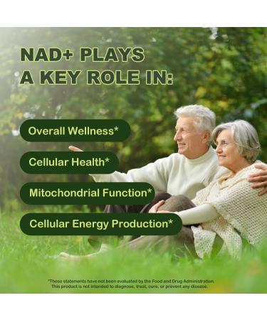 Lotnafee 1000mg Liquid NAD+ Supplement with Nicotinamide Riboside Resveratrol CoQ10 D-Ribose Advanced NAD+ Resveratrol for Men & Women Berry Flavor - Third-Party Tested - 10 Vials E - Buy Online on GoSupps.com