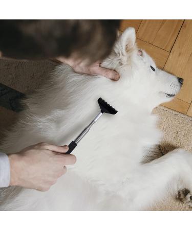 Buy Extendable Stainless Steel Back Scratcher - Portable 2-Piece Set for Instant Itching Relief - International Shipping Available - Buy Online on GoSupps.com