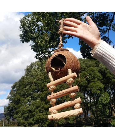 Tfwadmx Coconut Hide with Ladder - Natural Fiber Hanging Birdhouse Cage for Parrot, Parakeet, Lovebird, Finch, Canary - 2 Pcs - Buy Online on GoSupps.com