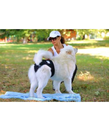 Nature PET - 2.0 Funeral Pants for Dogs | Soft & Hygienic Dog Diapers for Male Incontinence (XS-L) - Black (1 Pack) - Buy Online on GoSupps.com