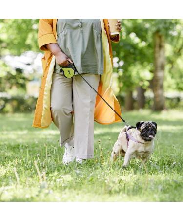 Pecute 3m Dog Leash | Eco-Friendly Roller Linen with Feces Bag Holder 360 Extension Anti-Slip Handle & Quick Brake for Dogs Up to 15kg - Buy Online on GoSupps.com