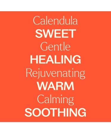 Plant Therapy Calendula Hydrosol 4 oz (Flower Water) by-Product of Essential Oils - Buy Online on GoSupps.com