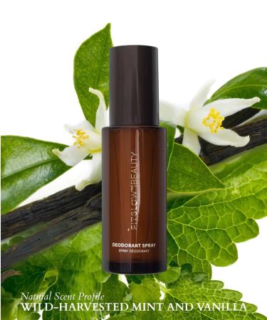 FITGLOW Beauty Natural Deodorant Spray | Vegan Non-Aerosol Woman-Owned Clean Beauty 1.7 oz (50 ml - Buy Online on GoSupps.com