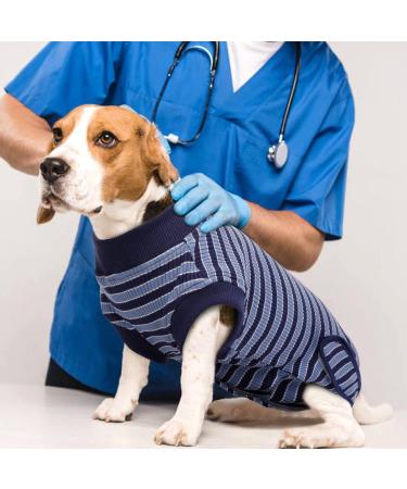 Buy Hjumarayan Dog Post-Castration Body - Breathable & Comfortable Medical Bodysuit for Small Medium Large Dogs - Blue Striped Alternative to Traditional Recovery Vests - Buy Online on GoSupps.com