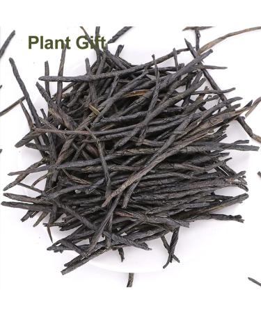 Buy Chinese Needle Ku Ding Tea - 100G Bitter Green Tea | Premium Loose Leaf for Health - Buy Online on GoSupps.com