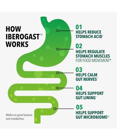 Iberogast Gummies Upset Stomach Relief: Helps Relieve a Combination of Occasional Indigestion/Upset Stomach Gas Heartburn Bloating Nausea and Abdominal Discomfort Natural Elderberry Flavor 30ct - Buy Online on GoSupps.com