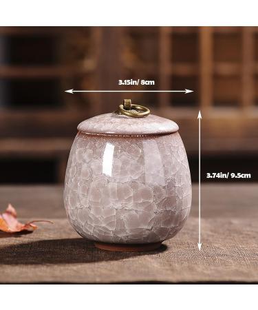 Mini Urns for Ashes Handicrafted Ceramic Ashes Urns for Dog Cat Small Pets Ashes Keepsake Memorial Gift Ashes Holder with Exquisite Box-Beige - Buy Online on GoSupps.com