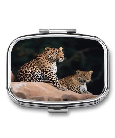 Pill Box African Leopard on Rock Print 2 Compartment Medicine Pill Case Pill Organizer Decorative Metal Portable Pill Box for Pocket Or Purse Style