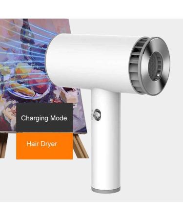 Rechargeable Blow Dryer Portable Cordless Hair Dryer w/Hot & Cold Wind Wireless Hair Dryer for Travel School Pet Care Hairdressing Oil Painting Drying Tools