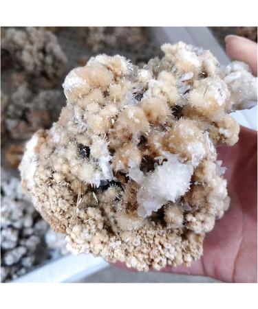 Natural Rough Crystalline Crystal Stone Zeolite Quartz Apophyllite Raw Rock Decorations Specimens Collection Bulk (Size : 600-750g) - Buy Online on GoSupps.com