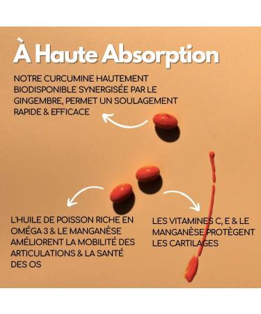 KOTOR JOINTS | Relieves Joint Pain | Cartilage Health & Bone Health | Turmeric + Ginger + Omega 3 + Vitamins C & E + Manganese | 60 Capsules | Natural Active | Made in France - Buy Online on GoSupps.com