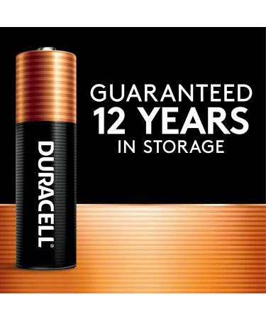 Duracell Coppertop AA Batteries - Long-lasting Alkaline Power Boost 2 Count Pack for Household & Office Use - Buy Online on GoSupps.com