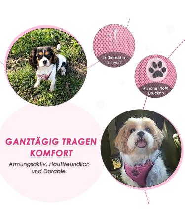 Eyin Dog Harness with Safety Belt for Car - Adjustable & Breathable - Pink XS - 2 Carabiner Hooks & Seat Belt Buckle - Buy Online on GoSupps.com