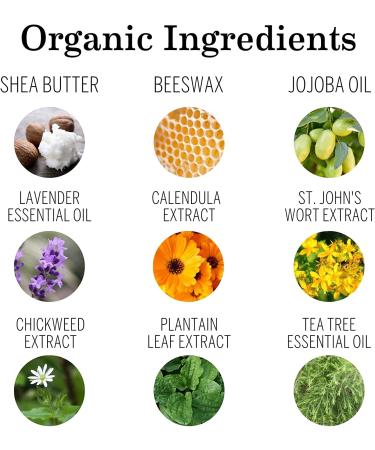 Earth Mama Organic Diaper Balm | EWG Verified, Petroleum & Fragrance-Free | Calendula for Sensitive Skin | 2-Fluid Ounce - Buy Online on GoSupps.com