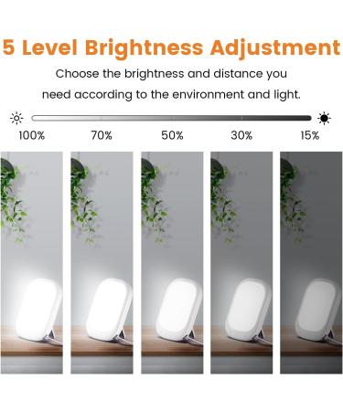 LASTAR Sun Light 10 000 LUX UV-Free Daylight Lamp with Memory Function 5 Adjustable Brightness Levels and 4 Timer Funtion Sunlight Lamp Compact Size for Winter Blues Wall Mountable Support Smart Plug Light White - Buy Online on GoSupps.com