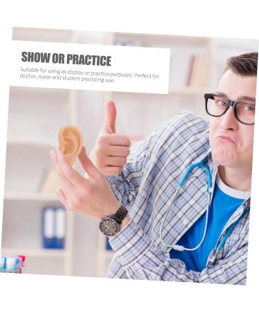 FOMIYES Silicone Ear Practice Model - Realistic Fake Ears for Teaching & Medical Training | Ideal for Simulated Ear Practice - Buy Online on GoSupps.com