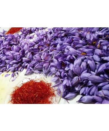  AP PASION POR EL AZAFRAN Box of 18 units x 2 g Azafran Heroes Made in Spain Supreme Class I (ISO 3632-2) Great Flavour and Colour (18 x 2 g) - Buy Online on GoSupps.com