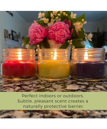 Natural Soy Candles Set of 3 - Lemongrass Lavender & Rosemary Sage - Essential Oils - Made in USA - Indoor/Outdoor Use - Buy Online on GoSupps.com