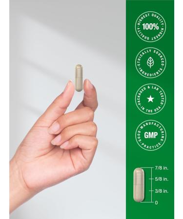 Horb ach Ashwagandha Supplement | Max Strength | 200 Capsules | for Women and Men | Non-GMO Gluten Free - Buy Online on GoSupps.com