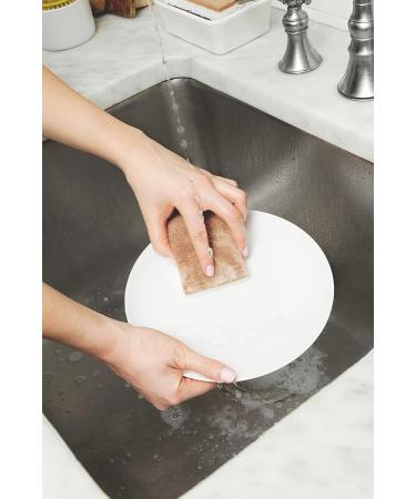 Full Circle Walnut Shell Non-Scratch Scrubber Sponge - Pack of 3 - Buy Online on GoSupps.com