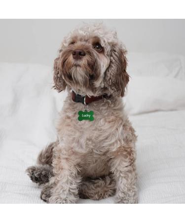 ENGRAVO Large Green Dog Tag Bone - Custom Engraving & 2 Key Rings | International Shipping - Buy Online on GoSupps.com