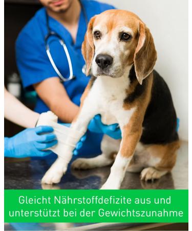 Vetoquinol Calo-Pet Paste Pack of 3 x 120g Paste Food Supplement for Dogs and Cats Use in Cases of High Nutritional Needs to Compensate for Deficiency Symptoms - Buy Online on GoSupps.com