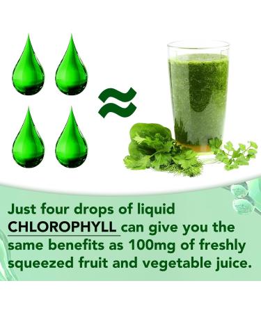 Chlorophyll Liquid Drops Organic Liquid Chlorophyll Body Deodorizing Supports for Odor Balance Natural Body Freshness Body Odor Control Fresh Breath 60ml 2Bottle. - Buy Online on GoSupps.com