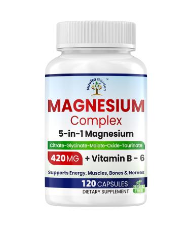 Magnesium Supplement - 5 in 1 Complex | Glycinate | Citrate | Malate | Taurinate| Oxide with Vitamin B6 - Made in USA - Sleep Muscle & Heart Support - Vegan Non-GMO - 120 Capsules 2 Month Supply