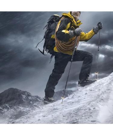 Cane Ice Tip Attachment Crutch Ice Cane Accessories 2PCS Stainless Steel 5-Prong Ice Tip for Cane Universal Cane Ice Tip Non-Slip Ice Grip for Winter Snow Safety - Buy Online on GoSupps.com