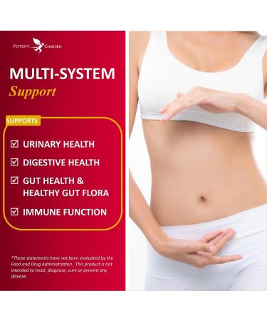 Potent Garden Urinary Support Supplements - Bladder & Urinary Tract Health for Women & Men - 60 Ct - Cranberry, Probiotics, Prebiotics - Daily Care - Buy Online on GoSupps.com